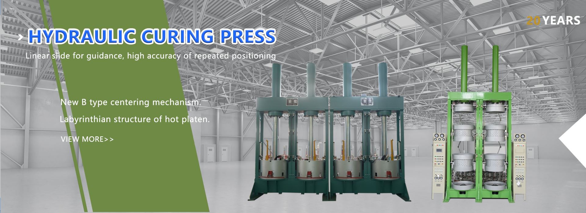 HYDRAULIC CURING PRESS