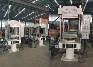 Hydraulic curing press